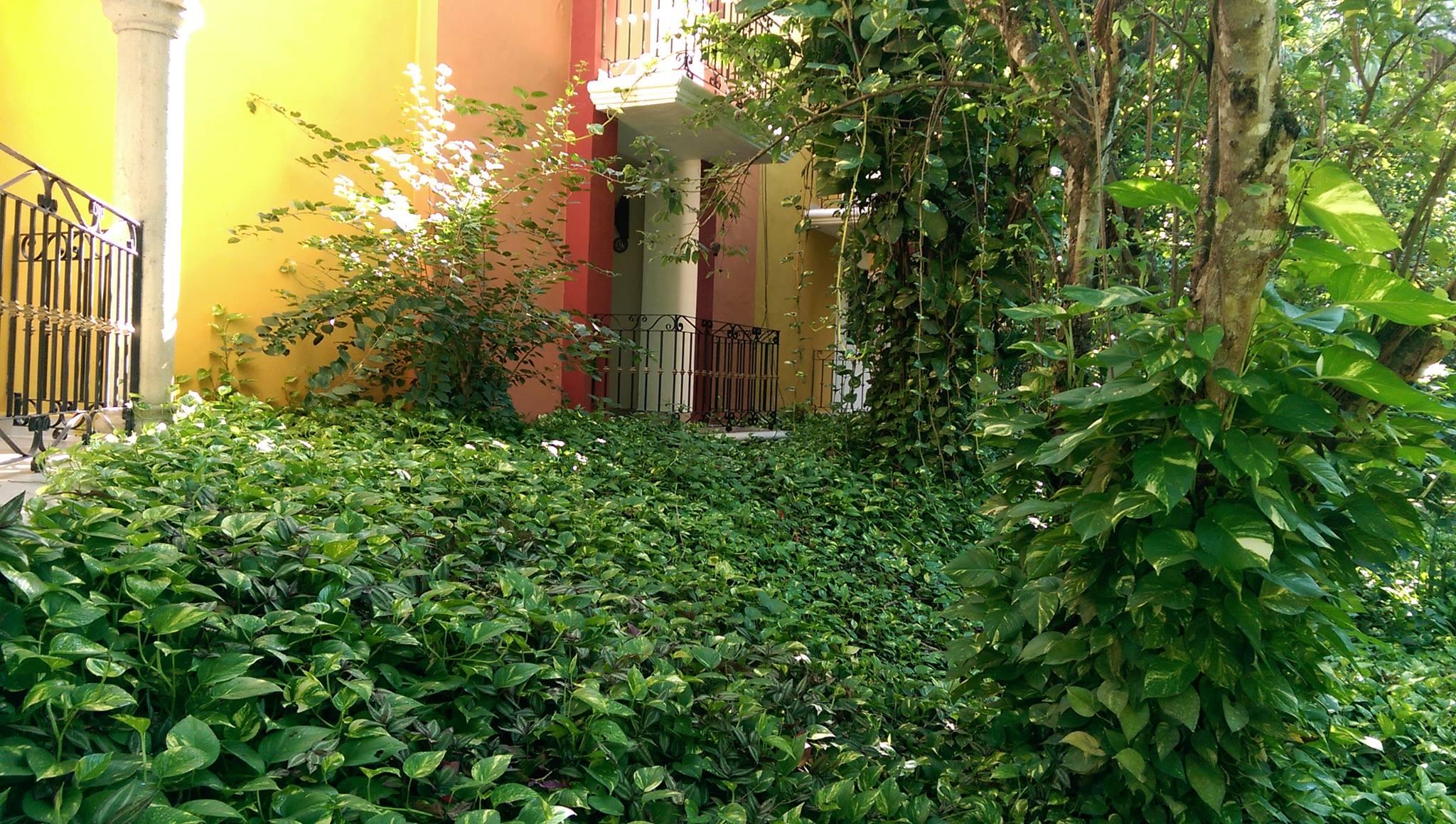 Ecotel Quinta Regia Valladolid  Dış mekan fotoğraf