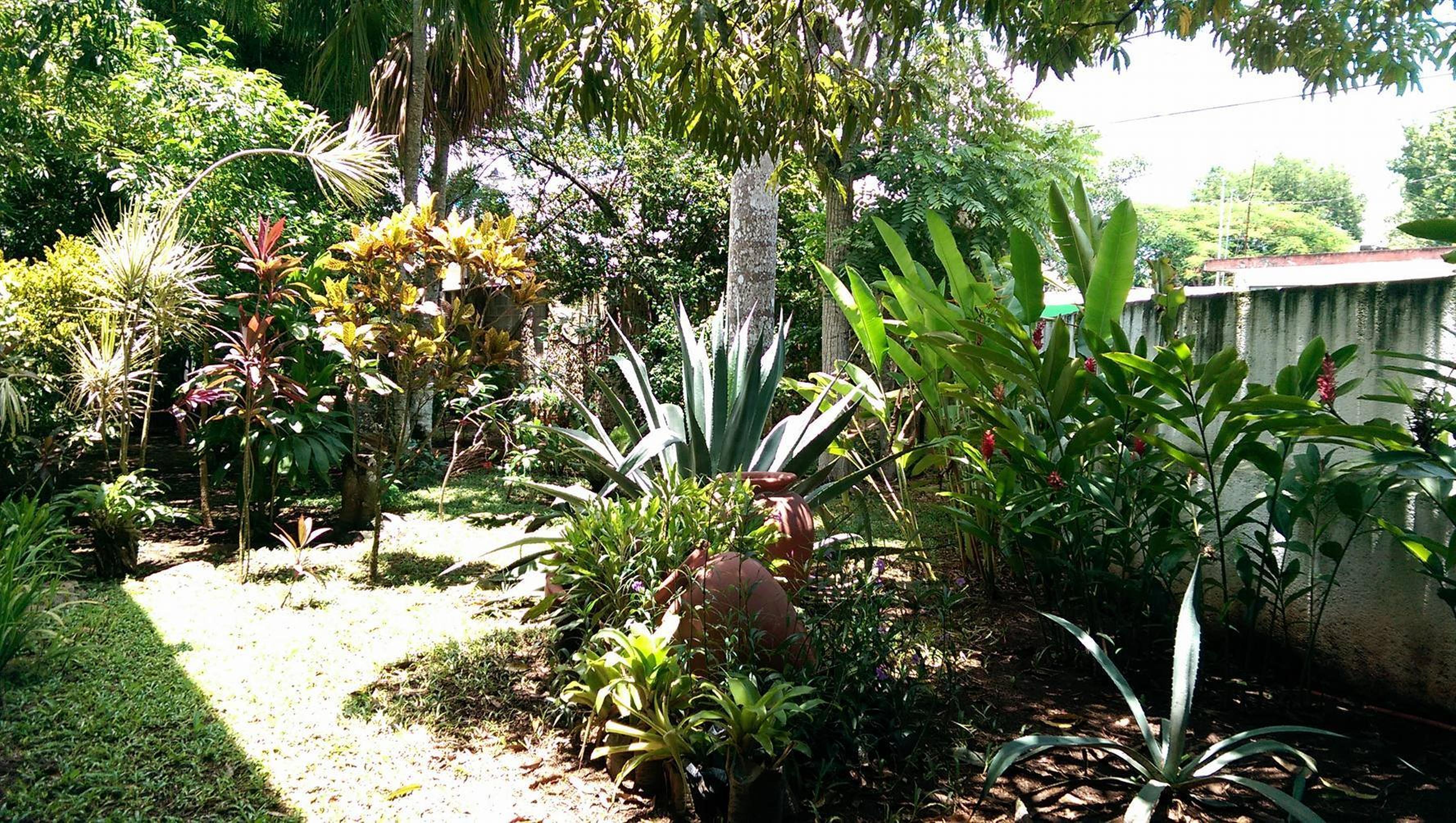 Ecotel Quinta Regia Valladolid  Dış mekan fotoğraf